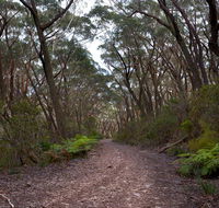 Budawang National Park - Accommodation Asia