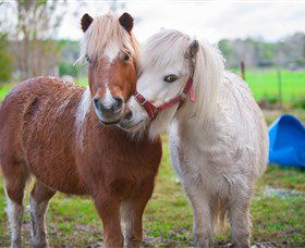 Amazement Farm And Fun Park / Cafe And Farmstay Accommodation - Accommodation Guide 5