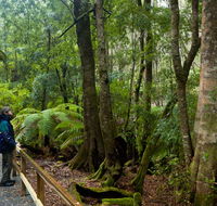 Monga National Park - Accommodation Asia