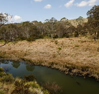 Werrikimbe National Park - Accommodation Asia