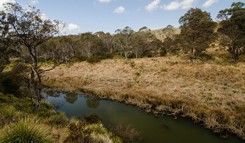 Werrikimbe National Park - Accommodation China 0