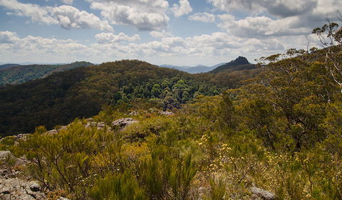 Werrikimbe National Park - Accommodation China 1