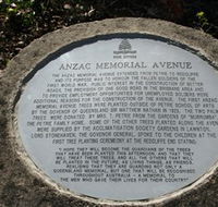 Anzac Memorial Avenue Redcliffe - Accommodation Guide