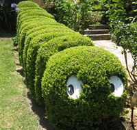 Nutcote - May Gibbs' Home - House Museum - Accommodation Asia