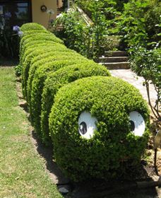 Nutcote - May Gibbs' Home - House Museum - Accommodation Asia 0