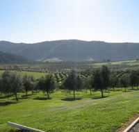 Hastings Valley Olives - Accommodation Guide