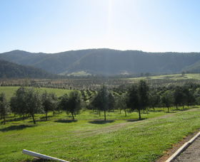 Hastings Valley Olives - Accommodation Guide 0