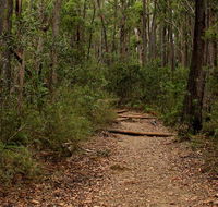 Pigeon House Mountain Didthul walking track - Accommodation Asia