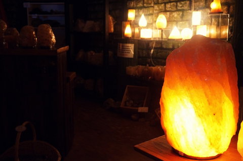 The Elephant Shop - Accommodation Asia 1