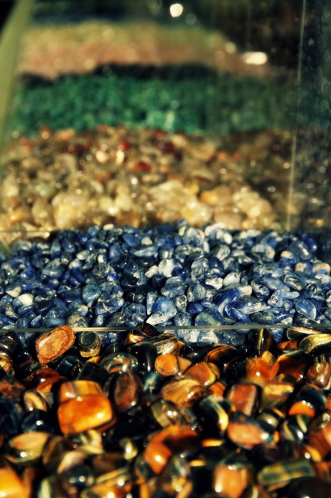 The Elephant Shop - Accommodation Asia 3