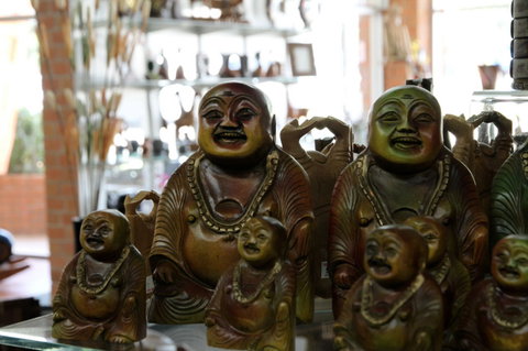 The Elephant Shop - Accommodation Asia 5