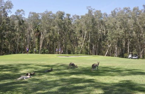 Emerald Downs Golf Course - Accommodation Asia 4