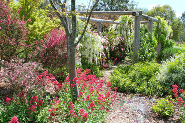 Ivy Hill Gallery - Accommodation Guide 6