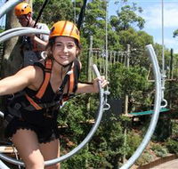 Wild Ropes at Taronga Zoo - Accommodation Guide