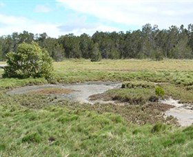 Boondall Wetlands Reserve - Accommodation Asia 1