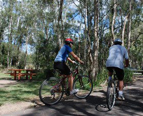 Boondall Wetlands Reserve - Accommodation Asia 2