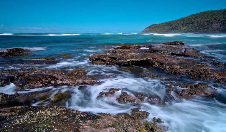 Magenta NSW Accommodation Asia