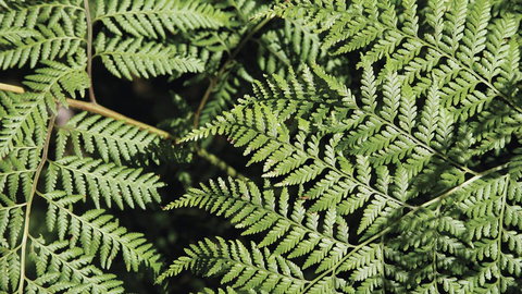 Glenrock State Conservation Area - Accommodation Guide 3