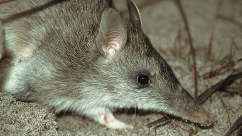 Glenrock State Conservation Area - Accommodation Guide 2