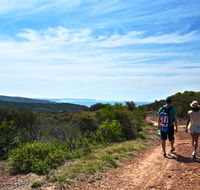 Moonee Beach trail - Accommodation Guide