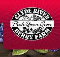 Clyde River Berry Farm - Accommodation Asia