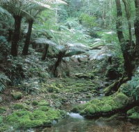 The Corn Trail Walk - Accommodation Asia