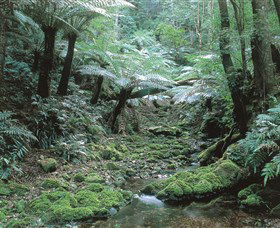 The Corn Trail Walk - Accommodation Asia 0