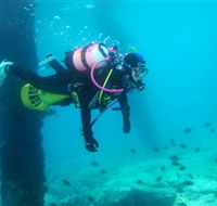 Shellharbour Scuba  Photography Centre - Accommodation China