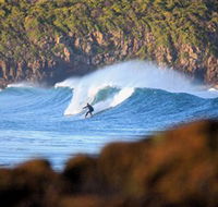 Killalea Beach - Accommodation China