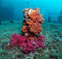 HMAS Brisbane Dive Site - Accommodation Guide