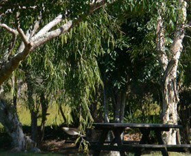 North Casino NSW Accommodation Asia