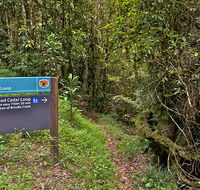 Red Cedar loop - Accommodation Guide
