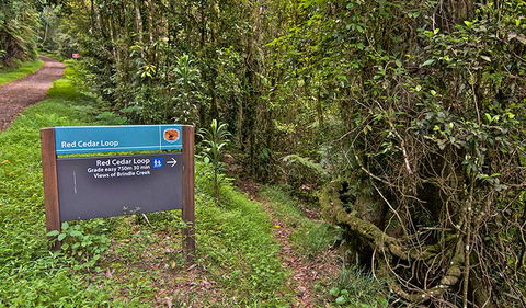 Red Cedar Loop - Accommodation Asia 0