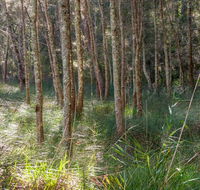Anabranch loop track - Accommodation Asia