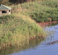 Spring Creek Bird Hide - Accommodation Guide