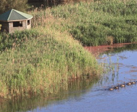 Spring Creek Bird Hide - Accommodation Guide 0