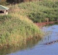 Spring Creek Wetlands Walk - Accommodation Guide
