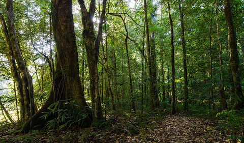 Botanic Walk - Accommodation Guide 1