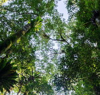 Botanic walk - Accommodation Guide