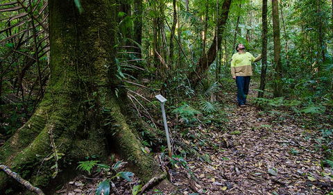 Botanic Walk - Accommodation Guide 3