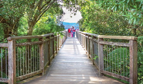 Skywalk Lookout - Accommodation Guide 0