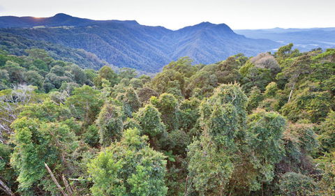 Skywalk Lookout - Accommodation Guide 2