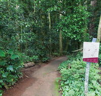 Walk with the Birds boardwalk - Accommodation Guide