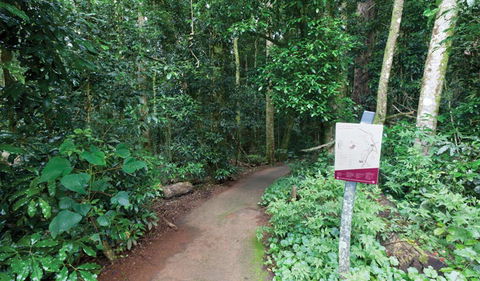 Walk With The Birds Boardwalk - Accommodation Guide 0