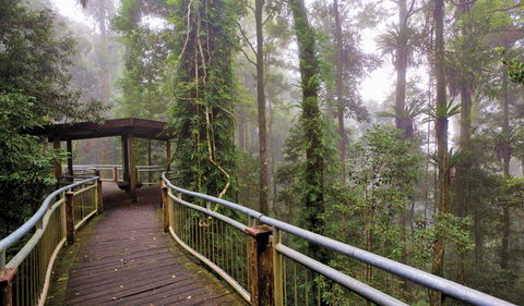 Walk With The Birds Boardwalk - Accommodation Guide 3