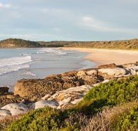 Burrawang track - Conjola Beach to Buckleys Point - Accommodation Asia