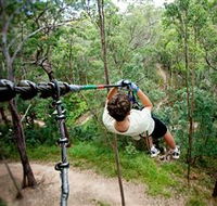 TreeTop Challenge - Accommodation Guide