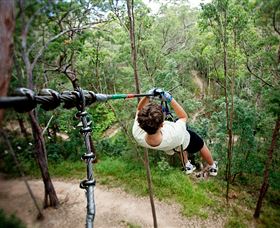TreeTop Challenge - Accommodation Guide 0
