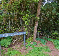 Falcorostrum loop walking track - Accommodation Guide