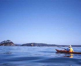 Kayaking Batemans Bay - Accommodation Asia 0